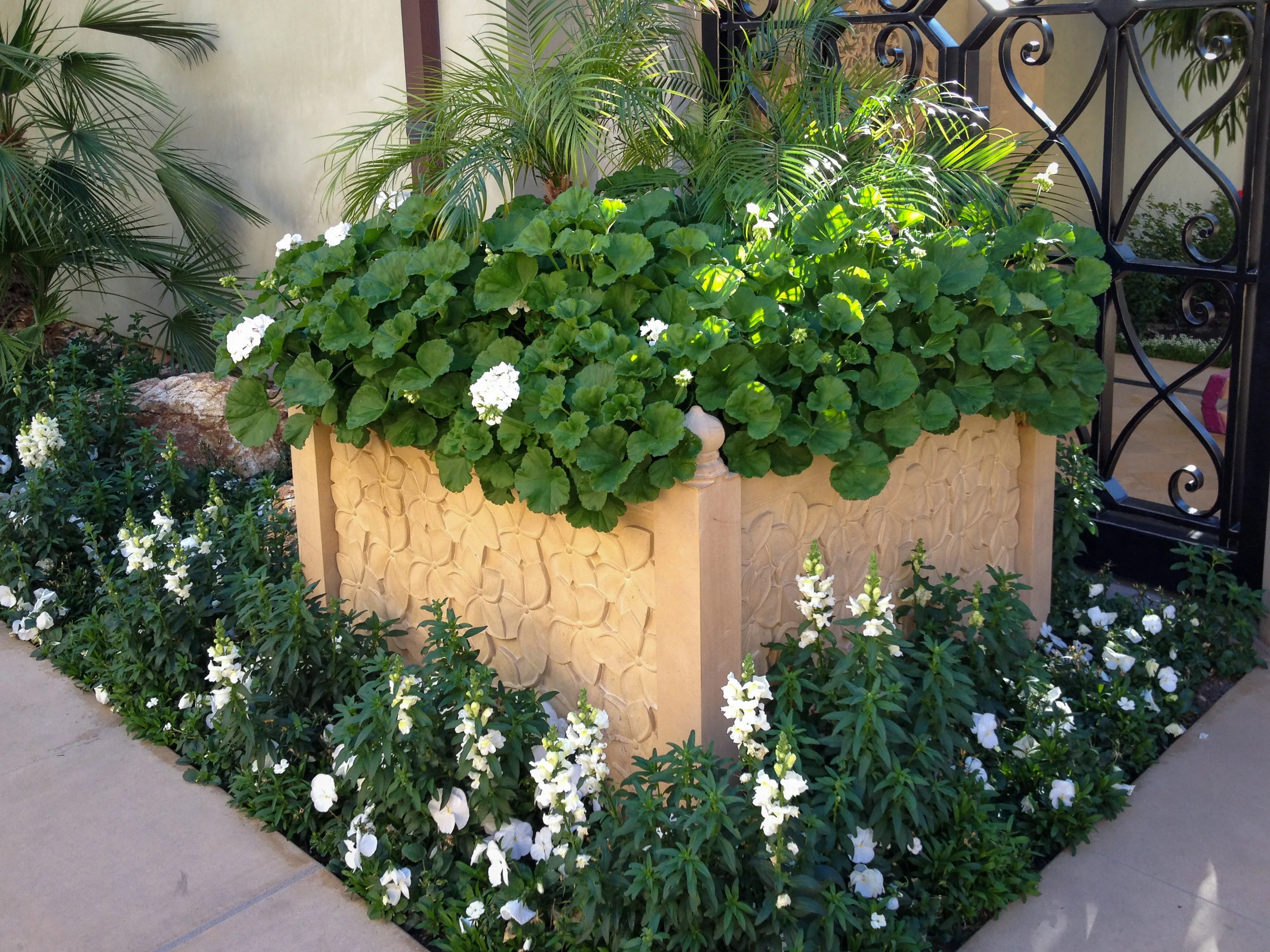 Hand-carved sandstone planter box filled with white flowers, Desert Sanctuary, Palm Springs