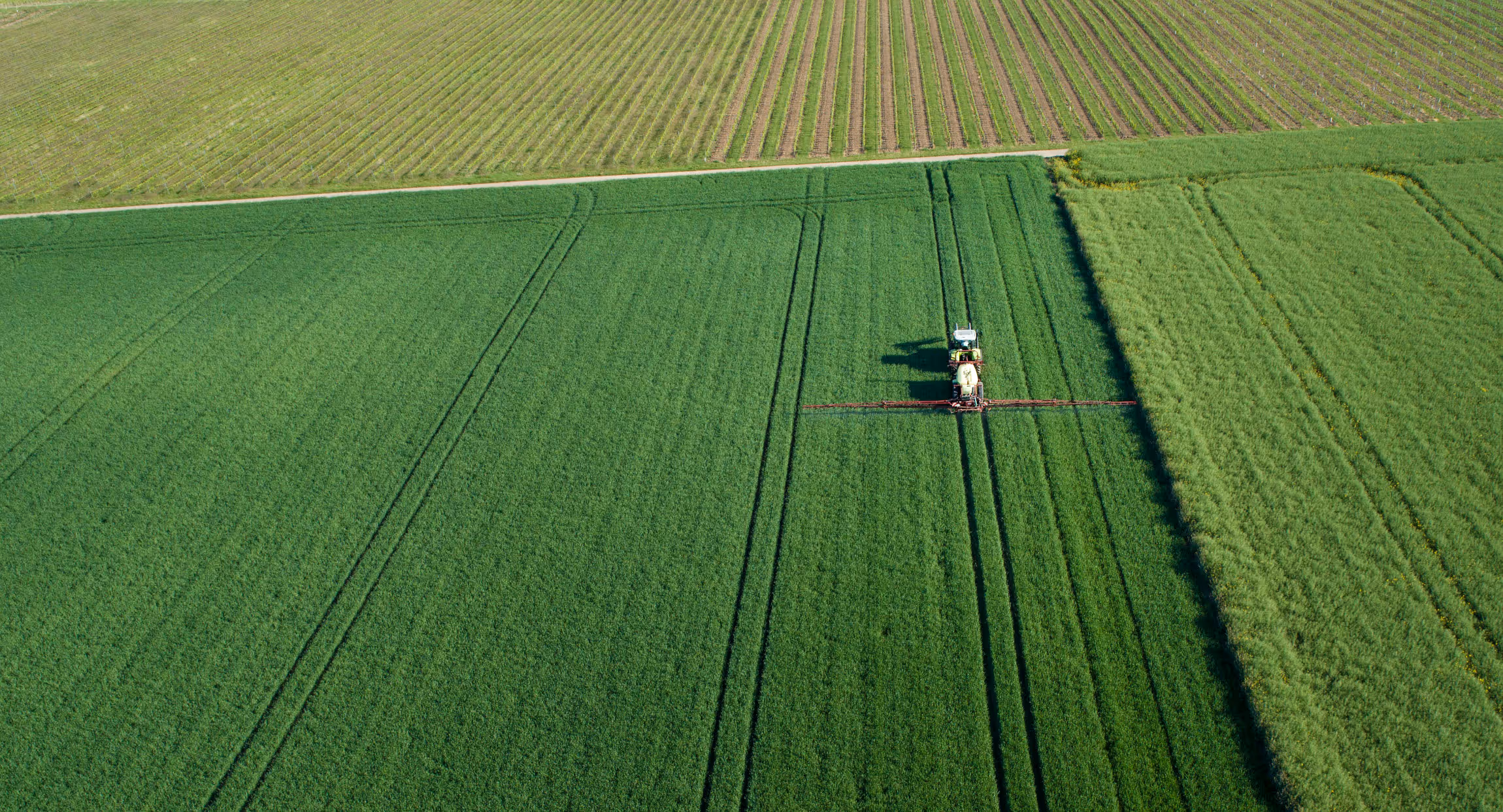 Aerial view of tractor spraying crops in a large green agricultural field.