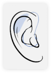 outline speech easy anti-stuttering