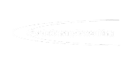 Evolutionary Consulting
