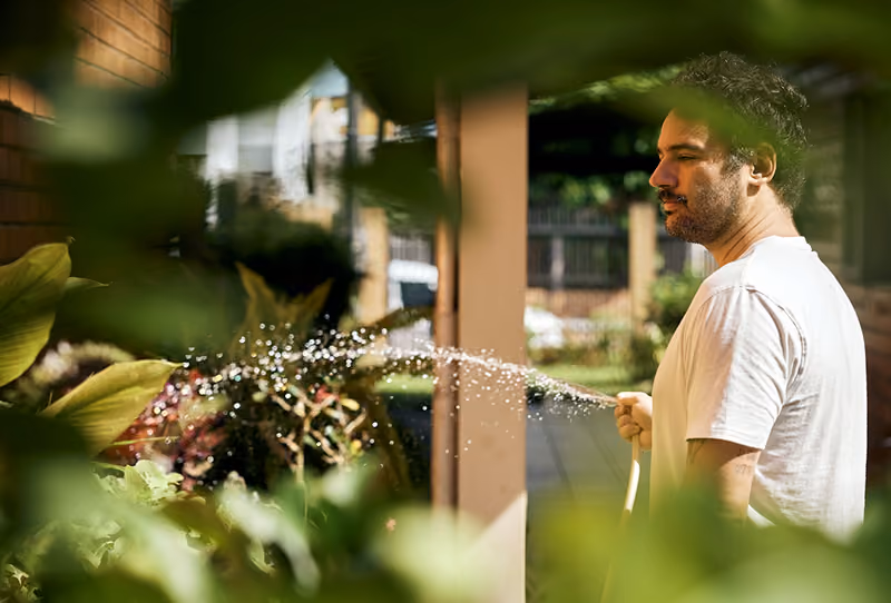 man watering plants in Perth apartment