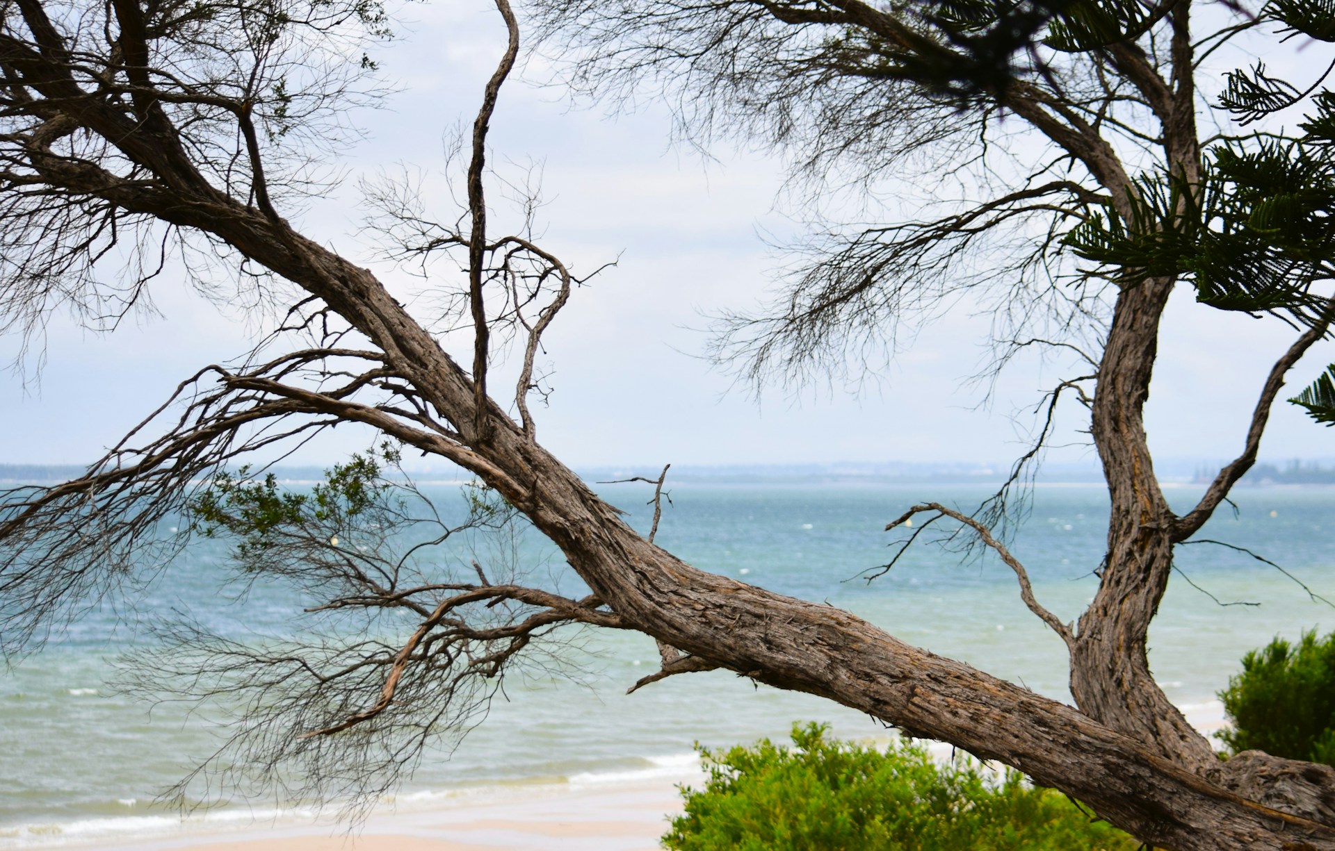 view of blue ocean from perth beach