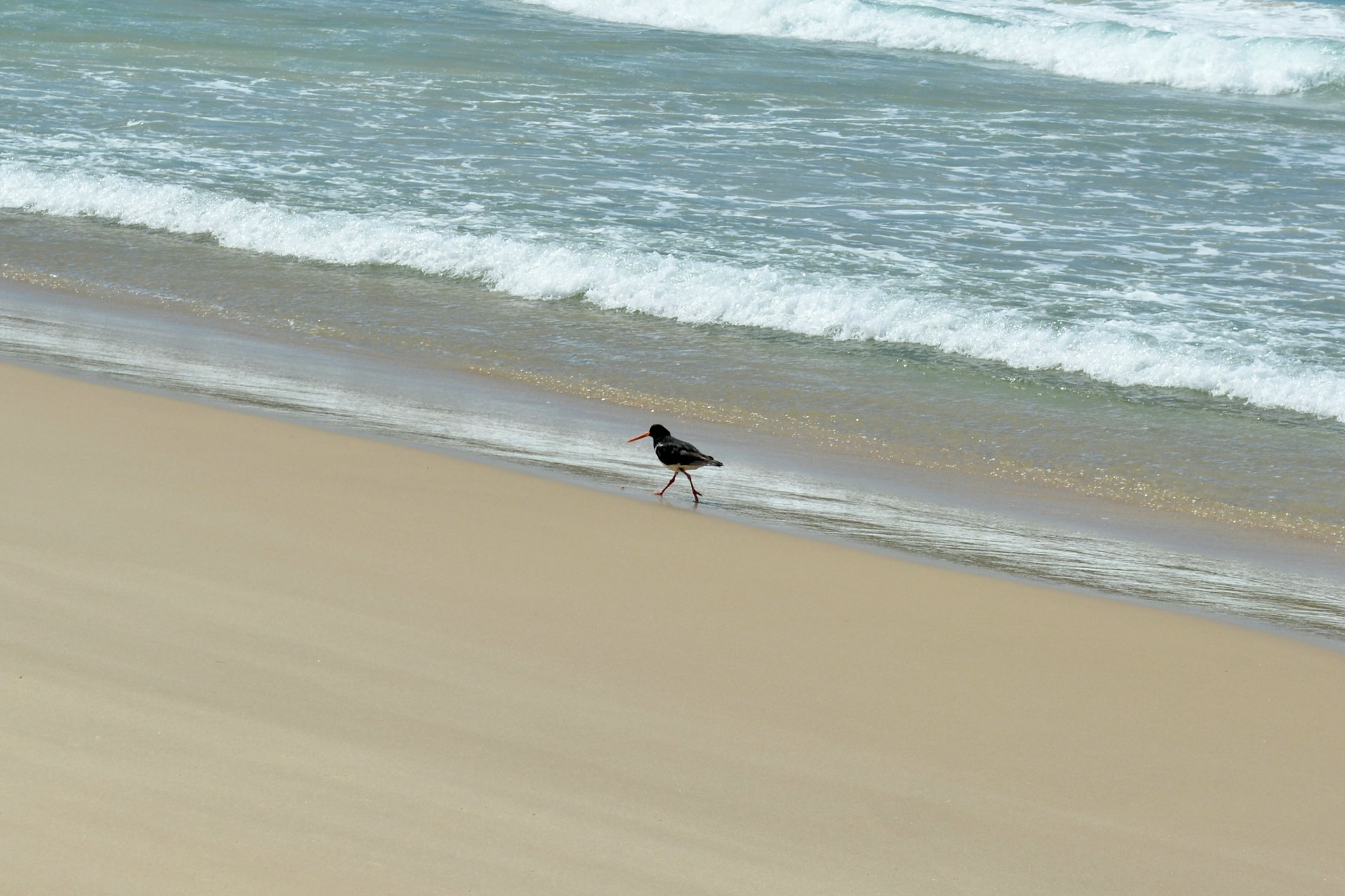 Trauma Counselling in Perth: Therapy Options and How to Start.