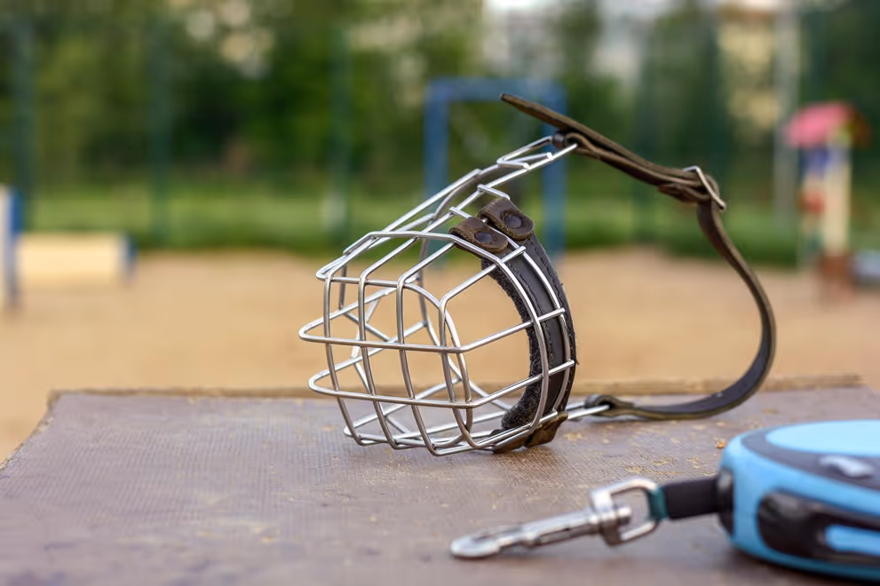 Metal dog muzzle with leather straps resting on a textured surface outdoors near a blue retractable leash.