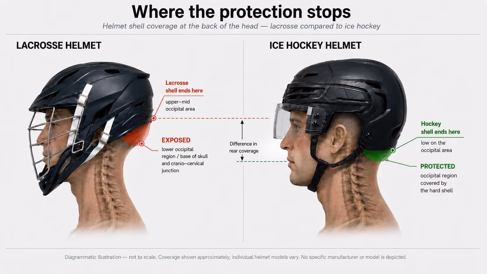 This is an educational illustration of coverage geometry, not a claim about any specific product. It shows why two helmets certified for different sports can protect very different areas of the head.
