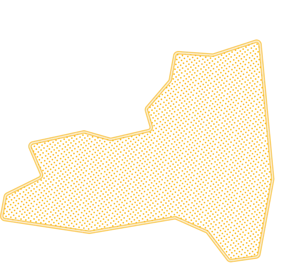Abstract polygon shape filled with small black, white, and orange squares on gray background with an orange outline.
