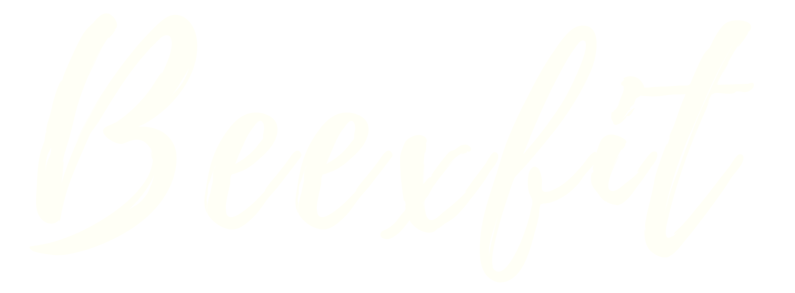 Beexfit Studio