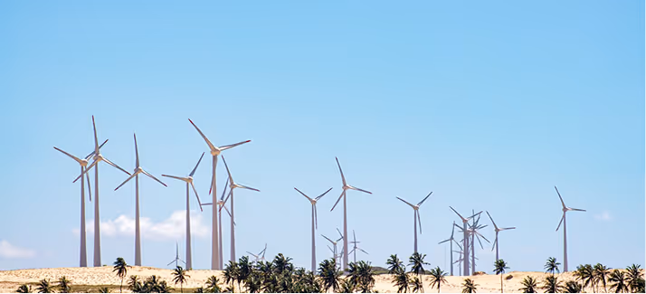 Wind turbines on sandy landscape with palm trees under clear blue sky