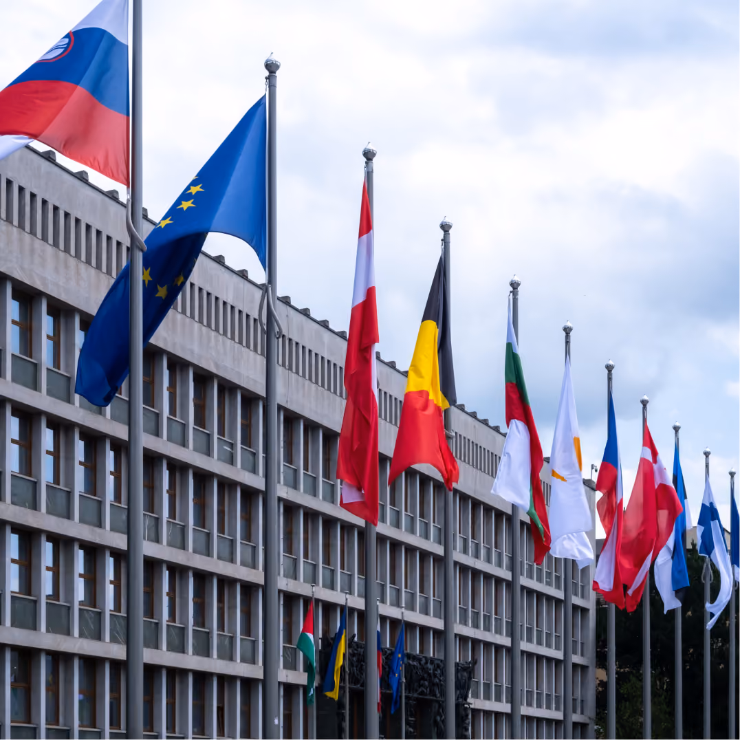 International flags outside institutional building representing development partnerships and foreign aid coope