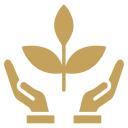 Trails and open space icon