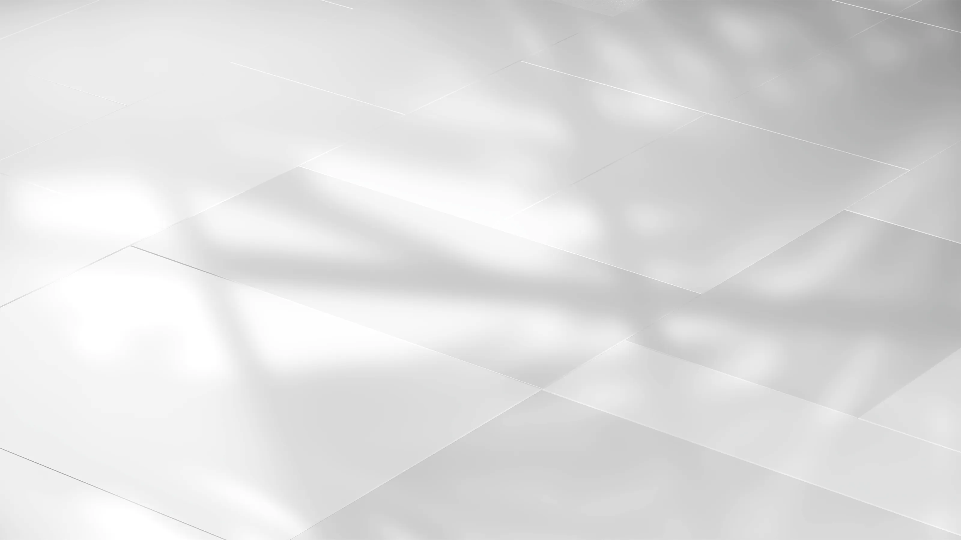 Soft shadows of palm leaves projected on a glossy white tiled floor.