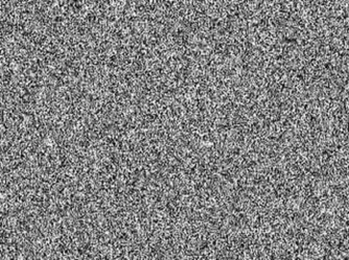 Black and white static noise resembling TV static or visual snow pattern.