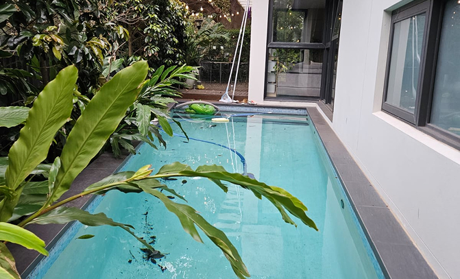 Narrow outdoor pool next to a white building with surrounding green plants and a floating pool toy.
