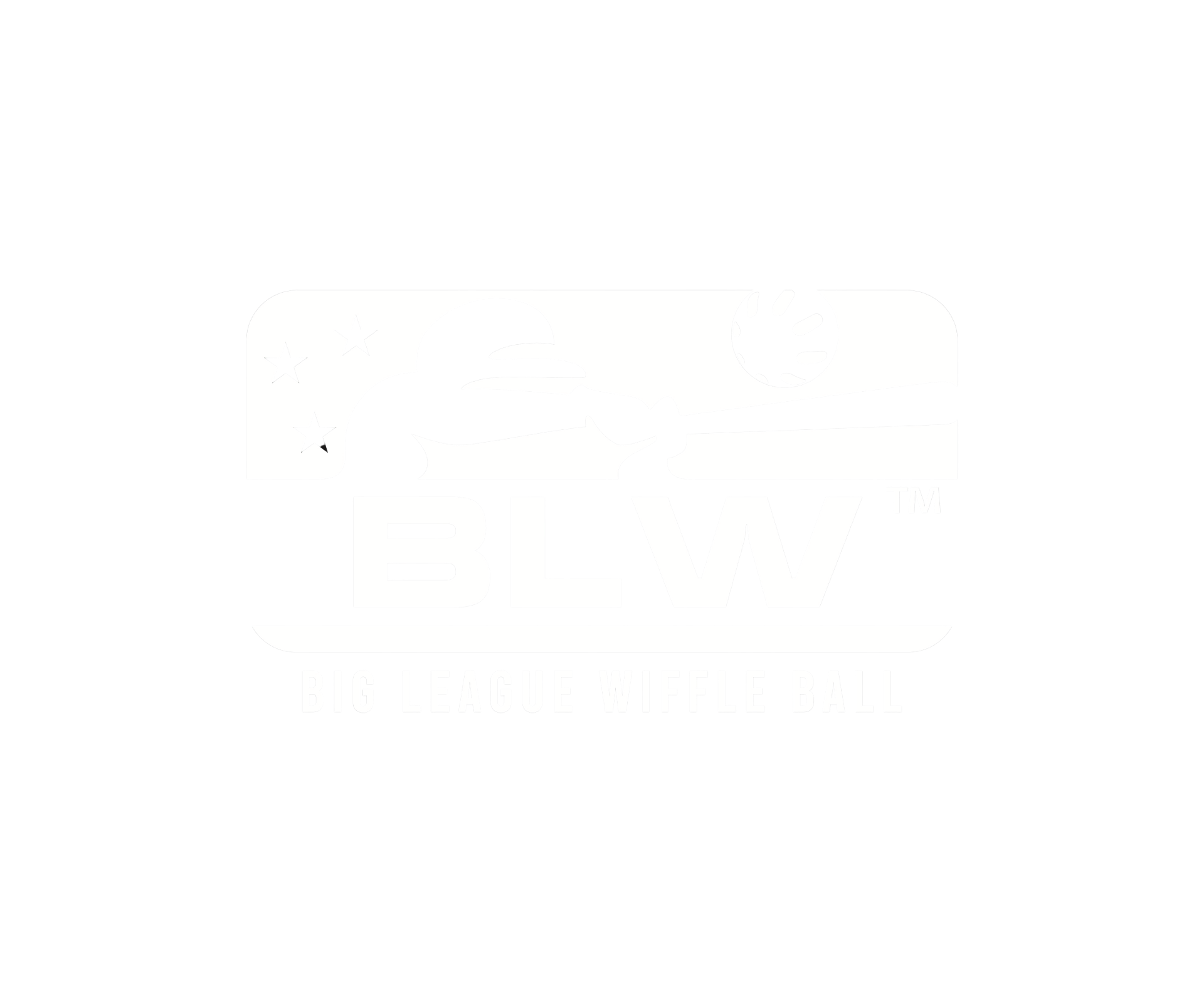 Big League Wiffle Ball