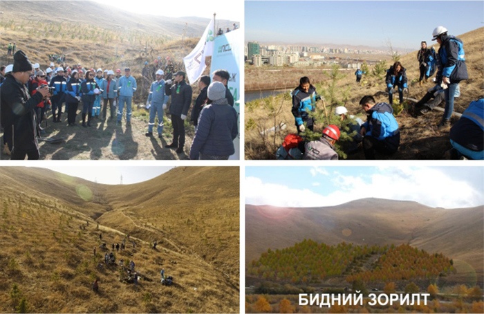 NCD Group Богд уул, Туул голын хөндийд 700 мод тарьжээ