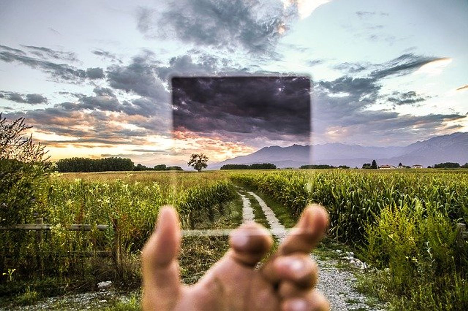 vision 