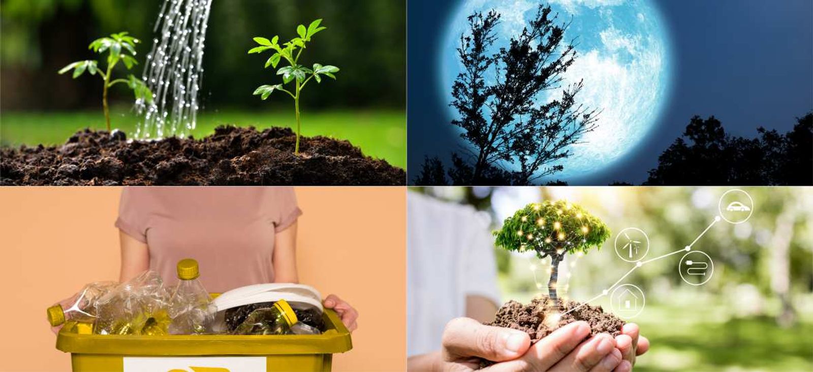 sustainability
