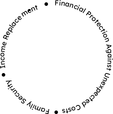 assurix-rotate-text