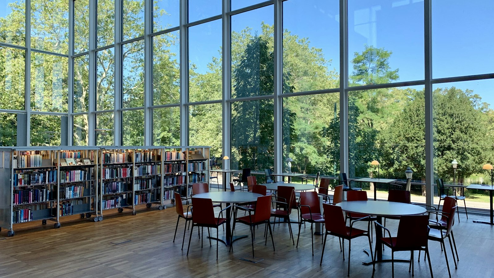 Bibliothèque lumineuse ouverte sur des arbres : l'accompagnement des OGEC par le cabinet SANCY Avocats