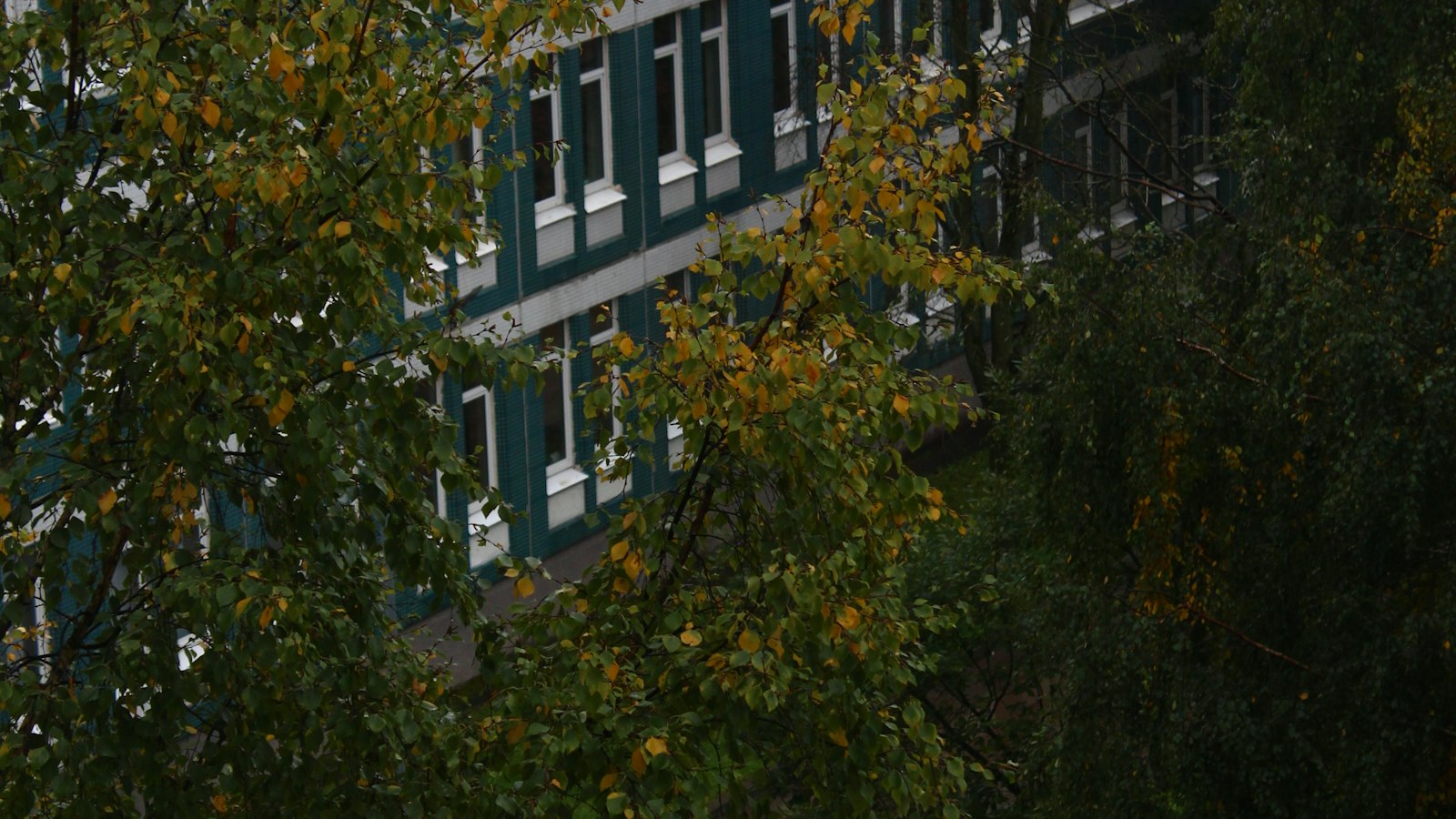 Bâtiment scolaire derrière des arbres d'automne : calendrier social de l'OGEC au fil de l'année scolaire