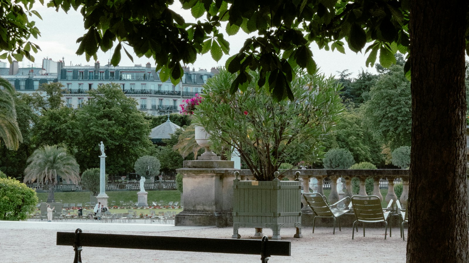 Banc vide sous un arbre au jardin du Luxembourg : le départ et la mise à la retraite
