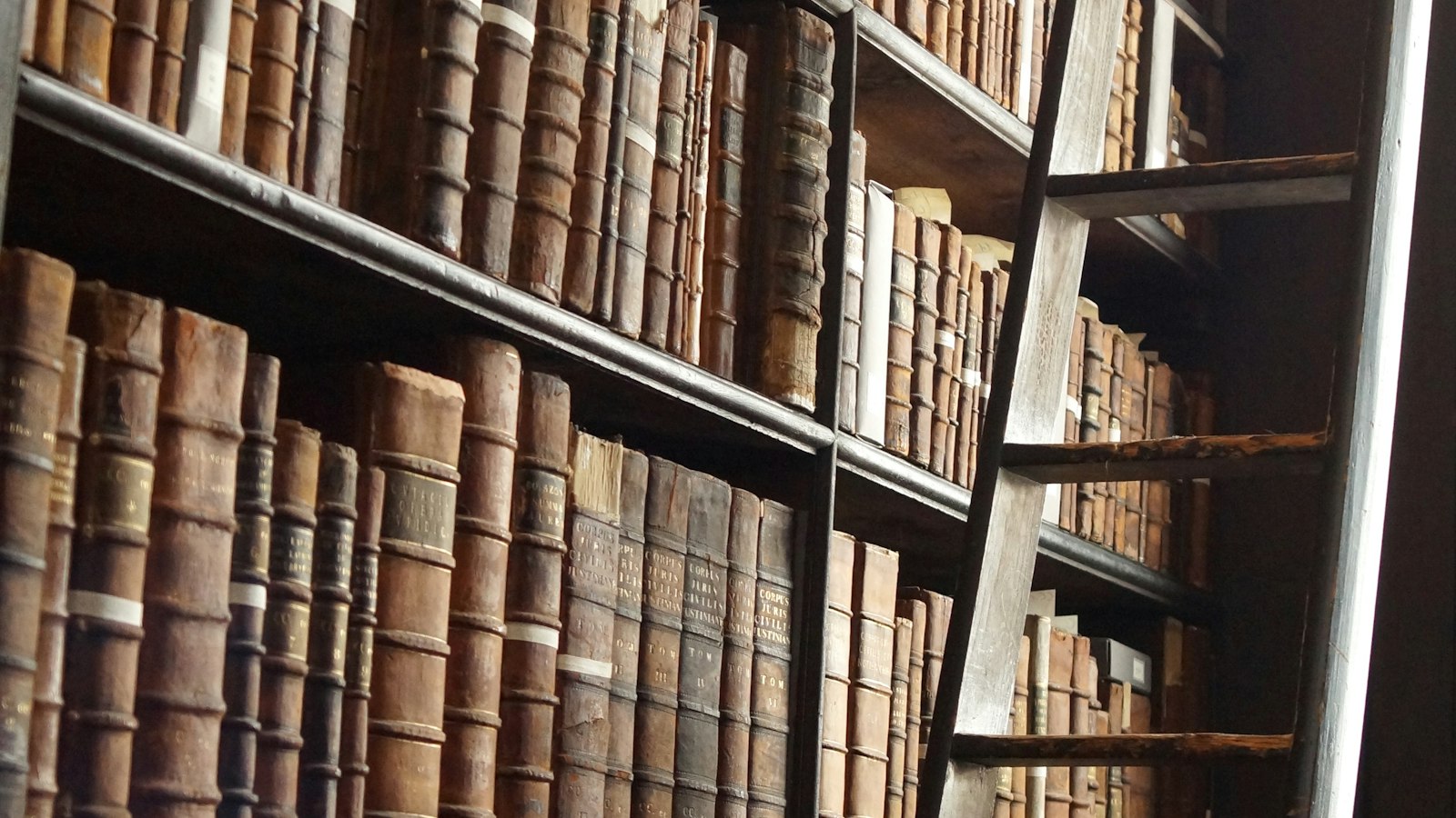 Rayonnages de livres anciens et échelle de bibliothèque : le lexique de la sécurité privée