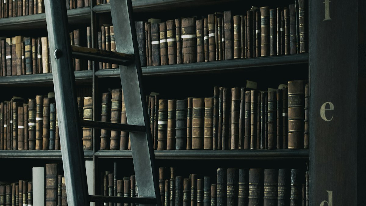 Échelle en bois contre des étagères de livres anciens : les ressources de l'exploitant de cinéma