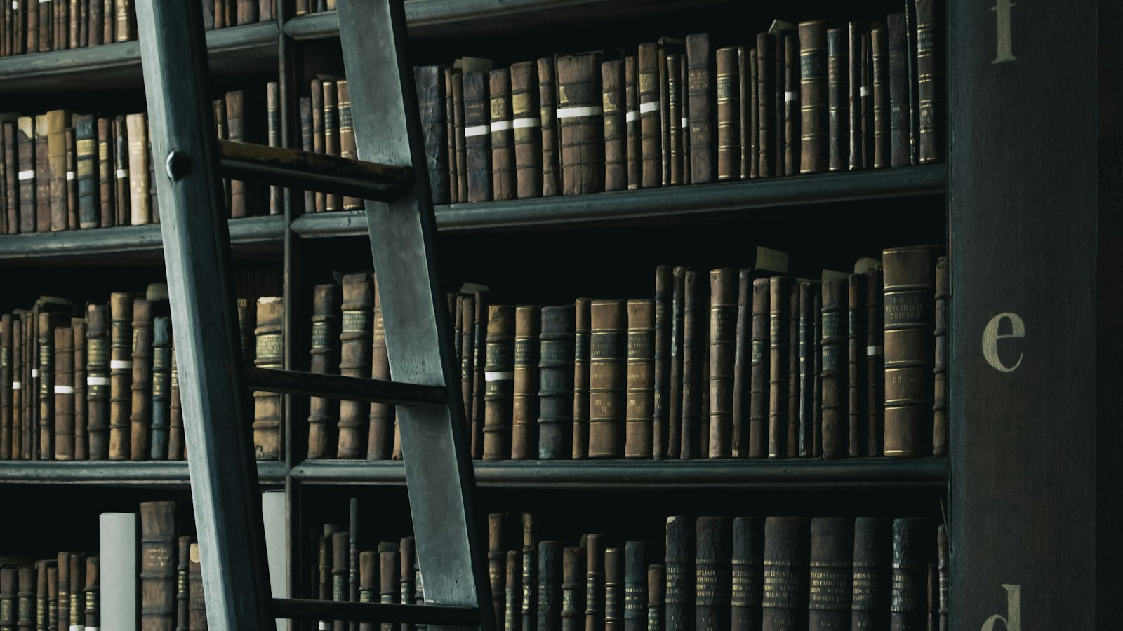 Échelle en bois contre des étagères de livres anciens : les ressources de l'exploitant de cinéma