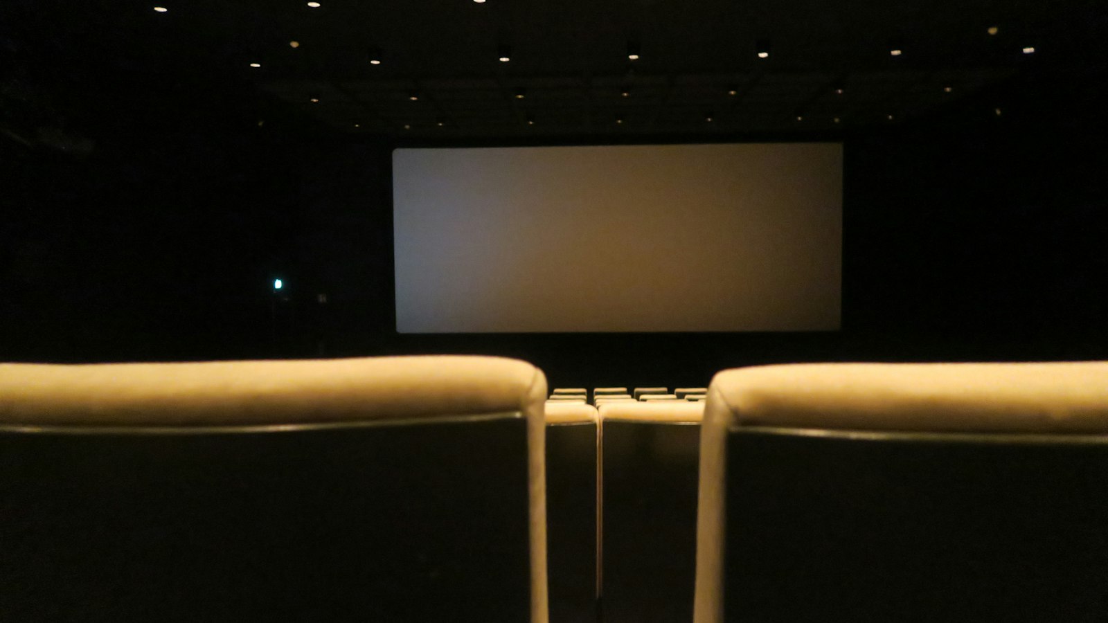 Salle de cinéma vide aux Pays-Bas : emploi d'un salarié étranger dans un cinéma