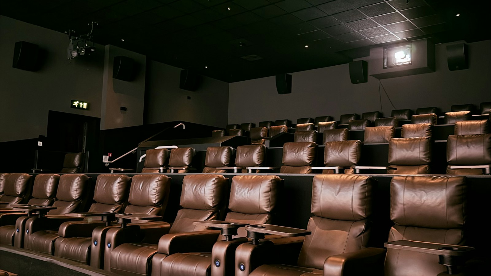 Rangées de fauteuils en cuir d'une salle de cinéma : la classification des emplois de l'exploitation cinématographique