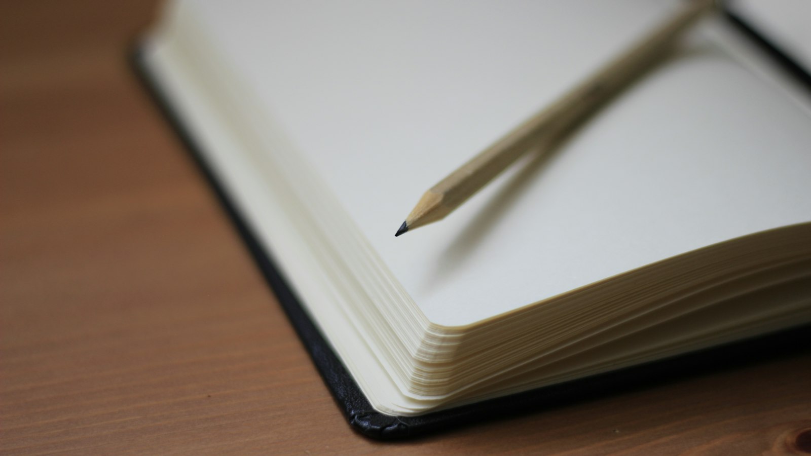 Crayon posé sur un livre ouvert aux pages blanches : le lexique du CSE