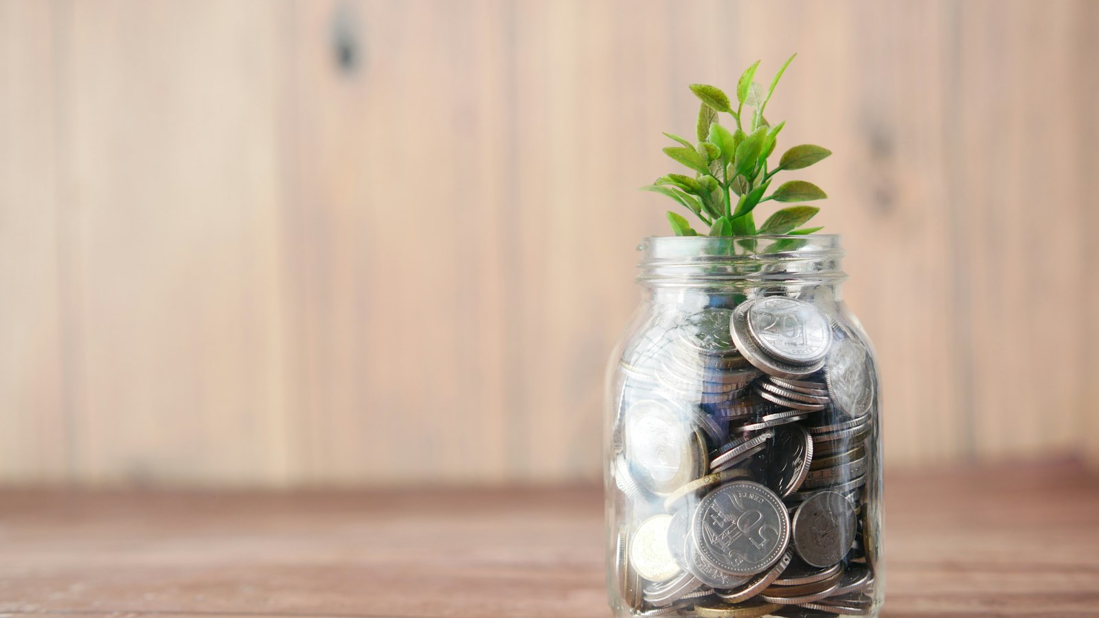 Bocal de pièces de monnaie d’où sort une jeune pousse : la consultation sur la situation économique et financière