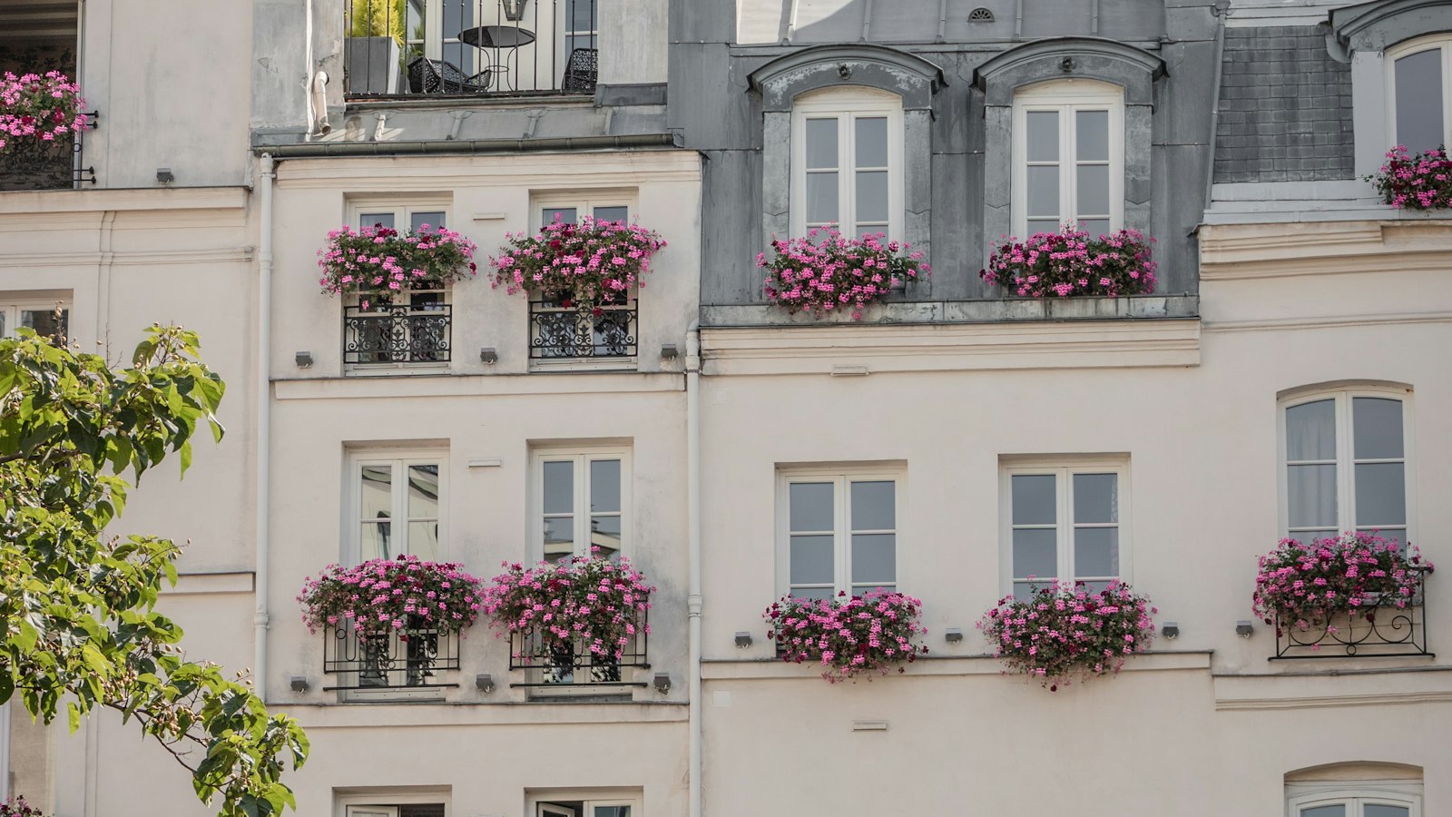 Façade parisienne aux fenêtres fleuries : les questions fréquentes sur le contrôle Urssaf