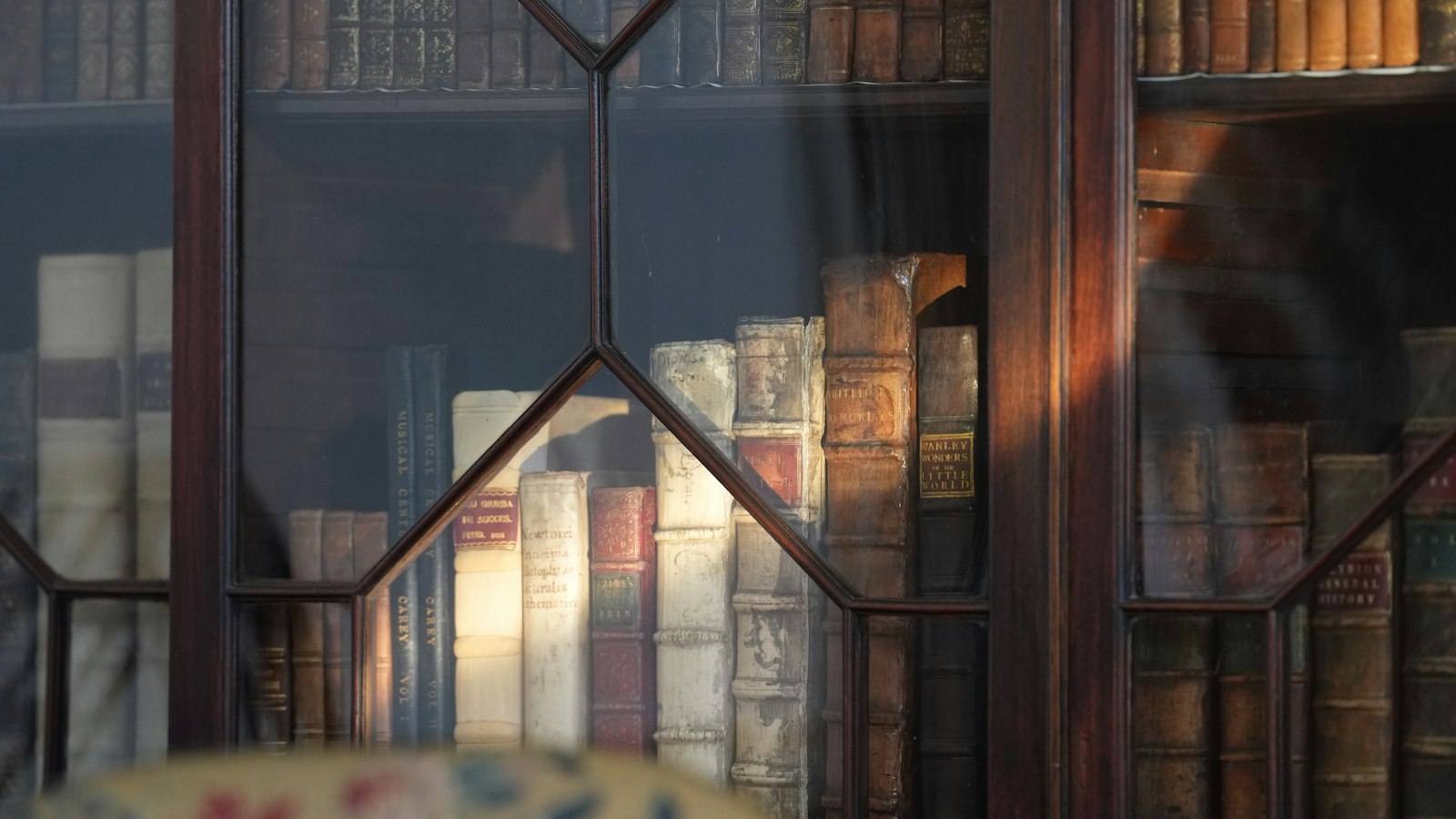 Bibliothèque ancienne vitrée remplie de livres reliés : le lexique social de la pharmacie d'officine