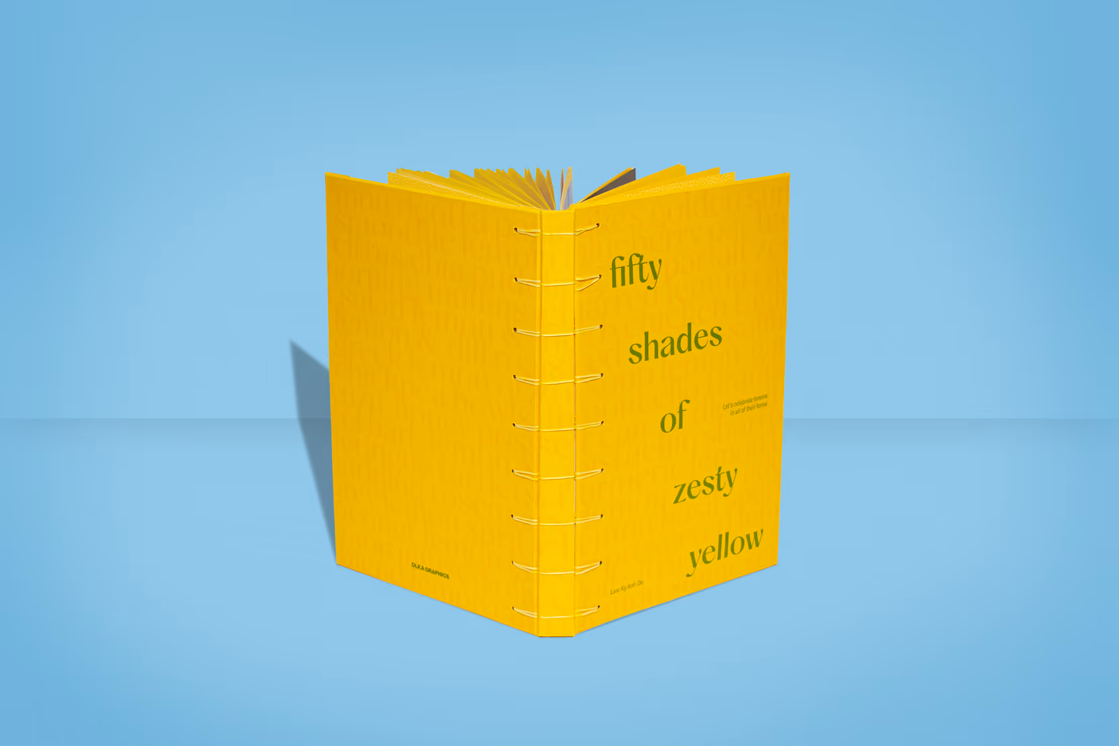 A photo of the FSOZY book cover, opened and titled from the top where we can see how the book is when opened.
