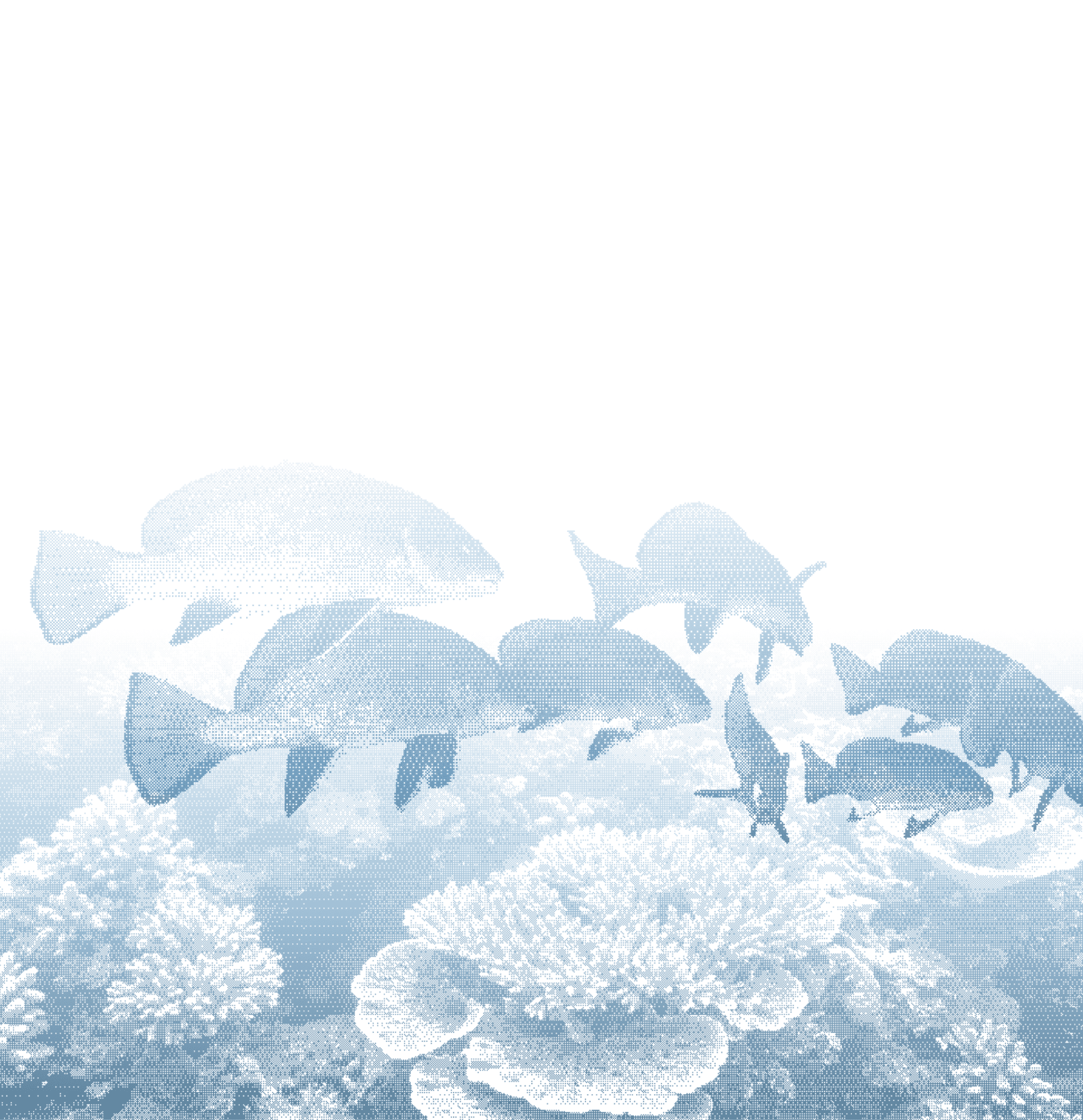 Silhouette of several tropical fish swimming over coral in blue water with dark background.