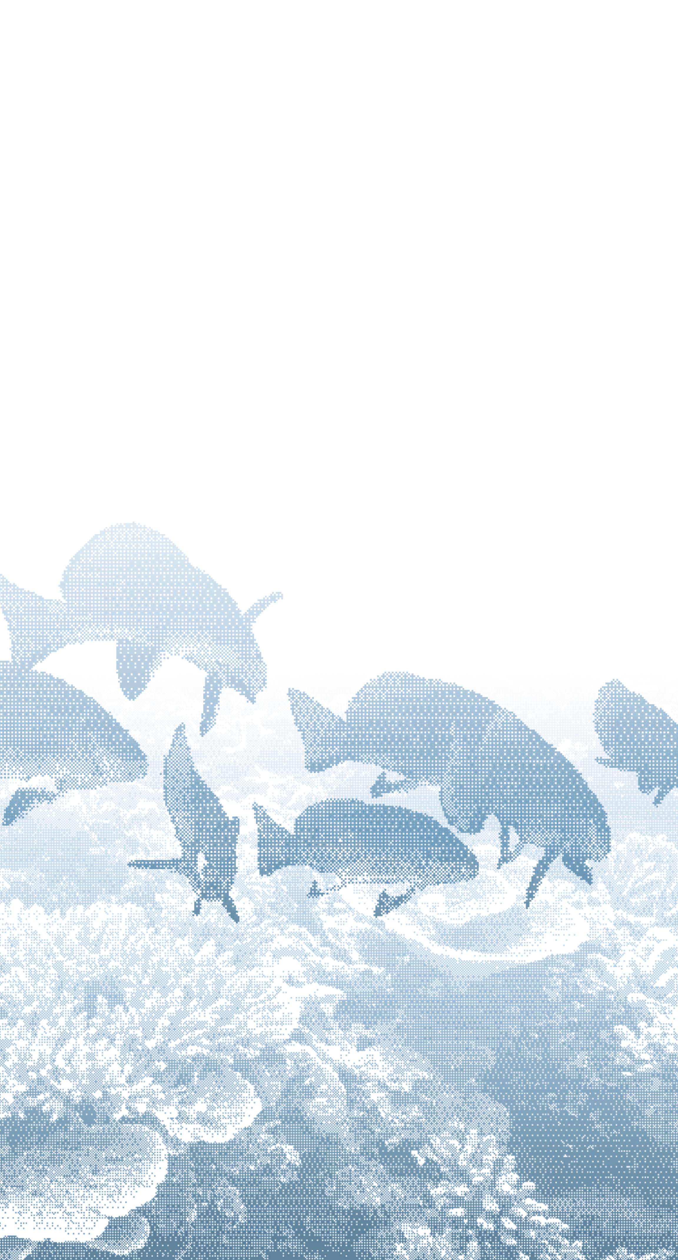 Silhouette of several tropical fish swimming over coral in blue water with dark background.