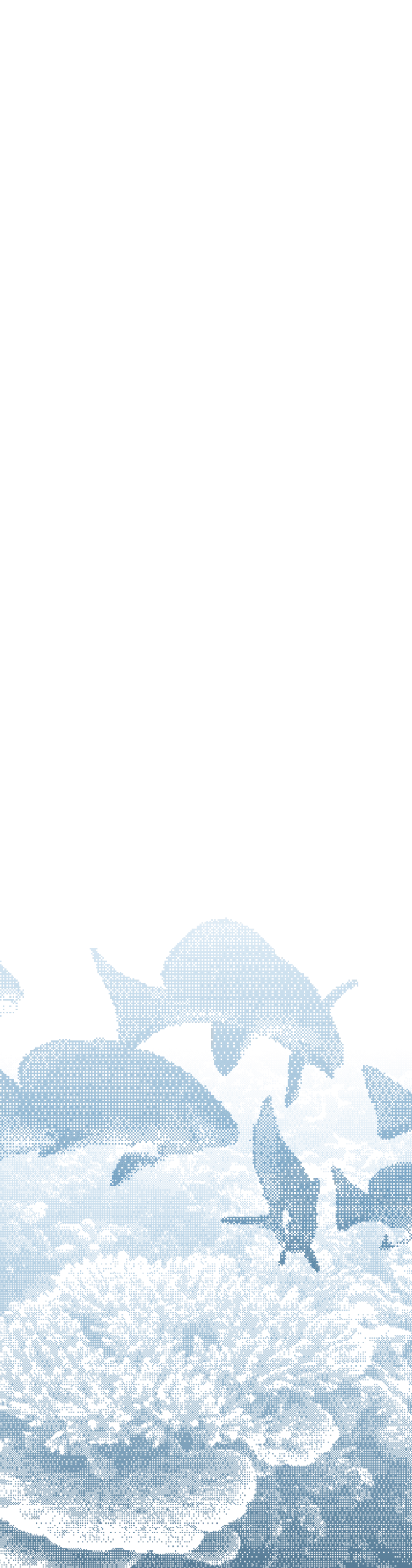 Silhouette of several tropical fish swimming over coral in blue water with dark background.