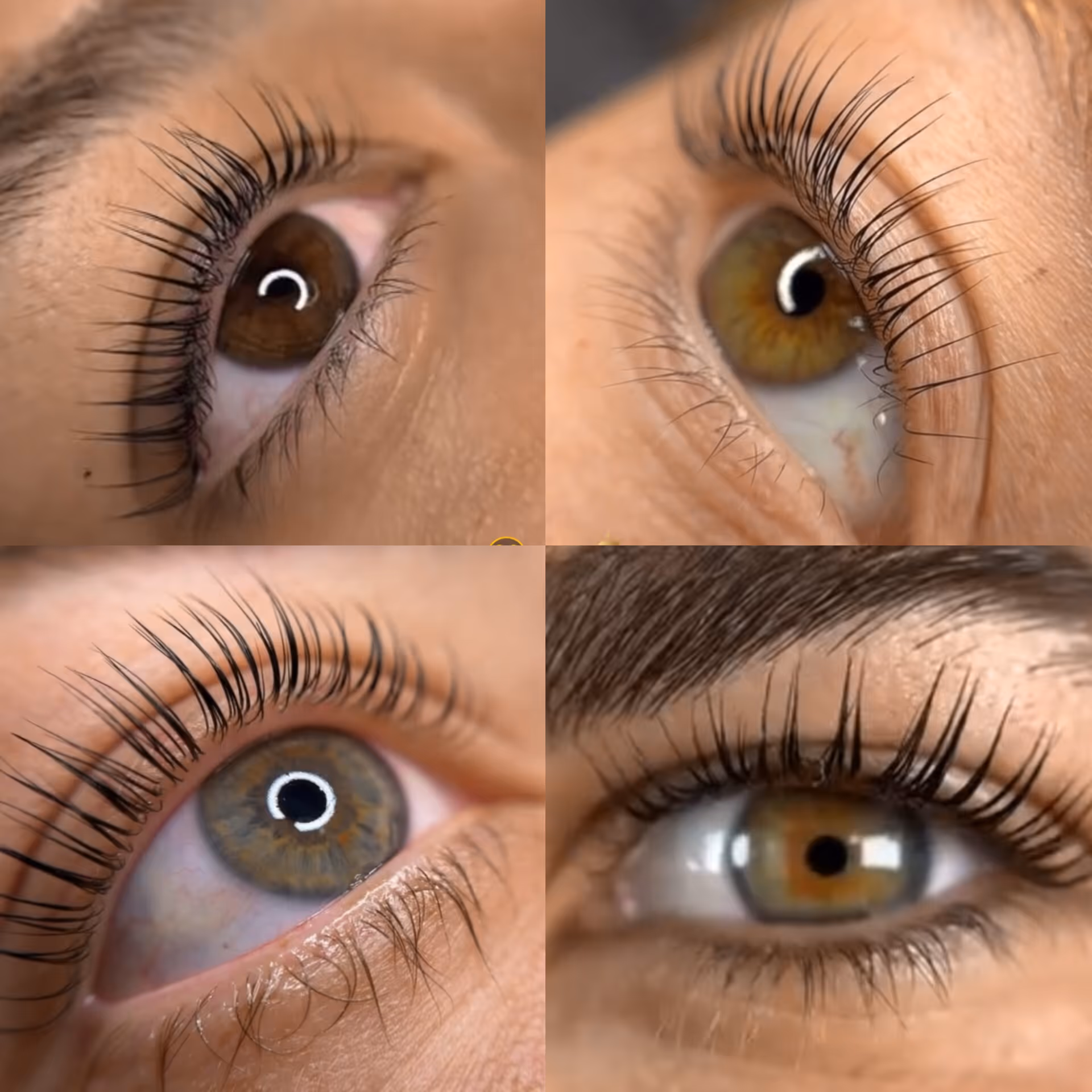 Close-ups of four eyes with long, curled eyelashes from a Korean lash lift treatment.