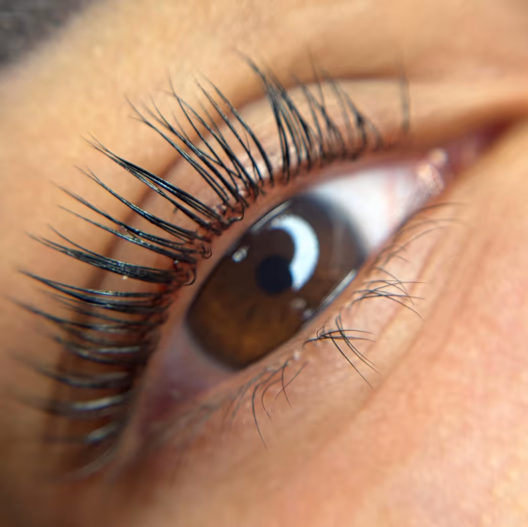 Close-up of a brown eye with long, dark, lifted eyelashes.