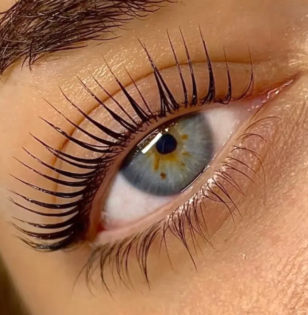 Close-up of a blue-green eye with long, curled upper eyelashes and natural lower lashes.