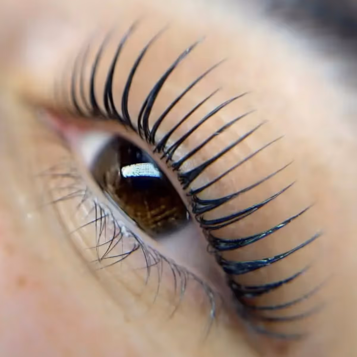 Close-up of an eye with long, curled eyelashes looking slightly upward.