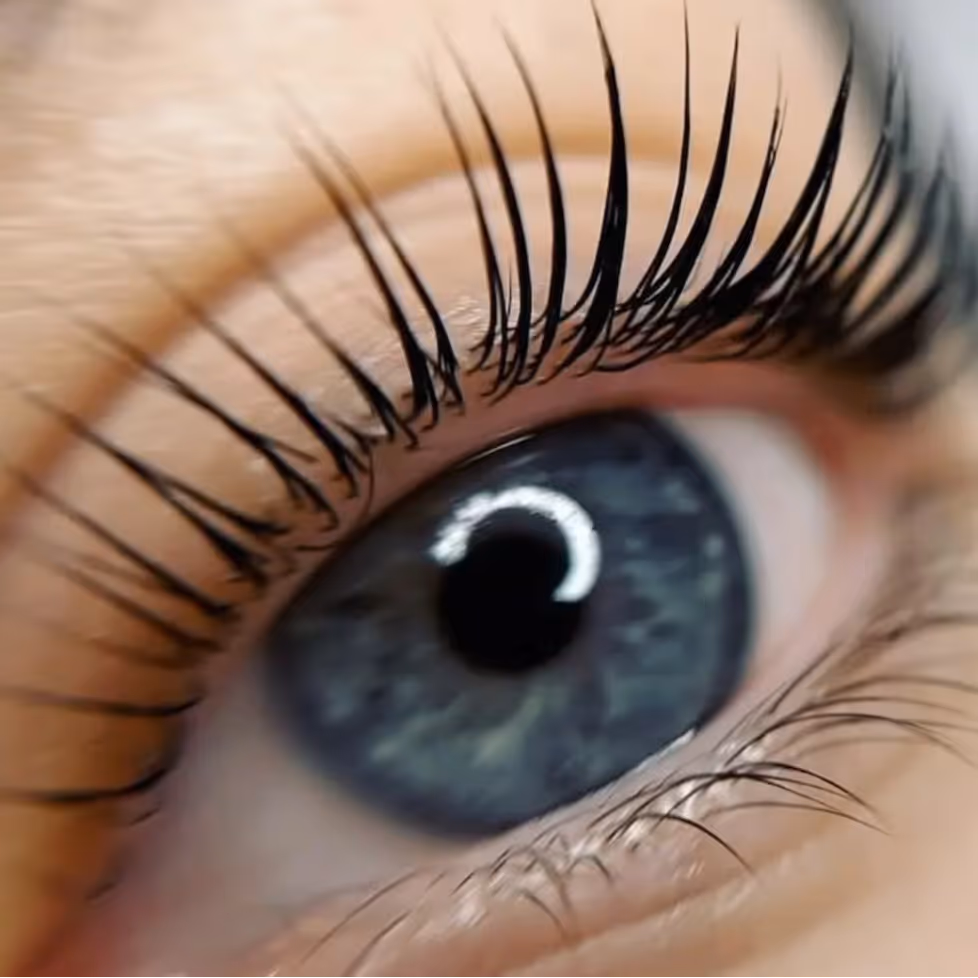 Close-up of a blue eye with long curled eyelashes and detailed iris texture.