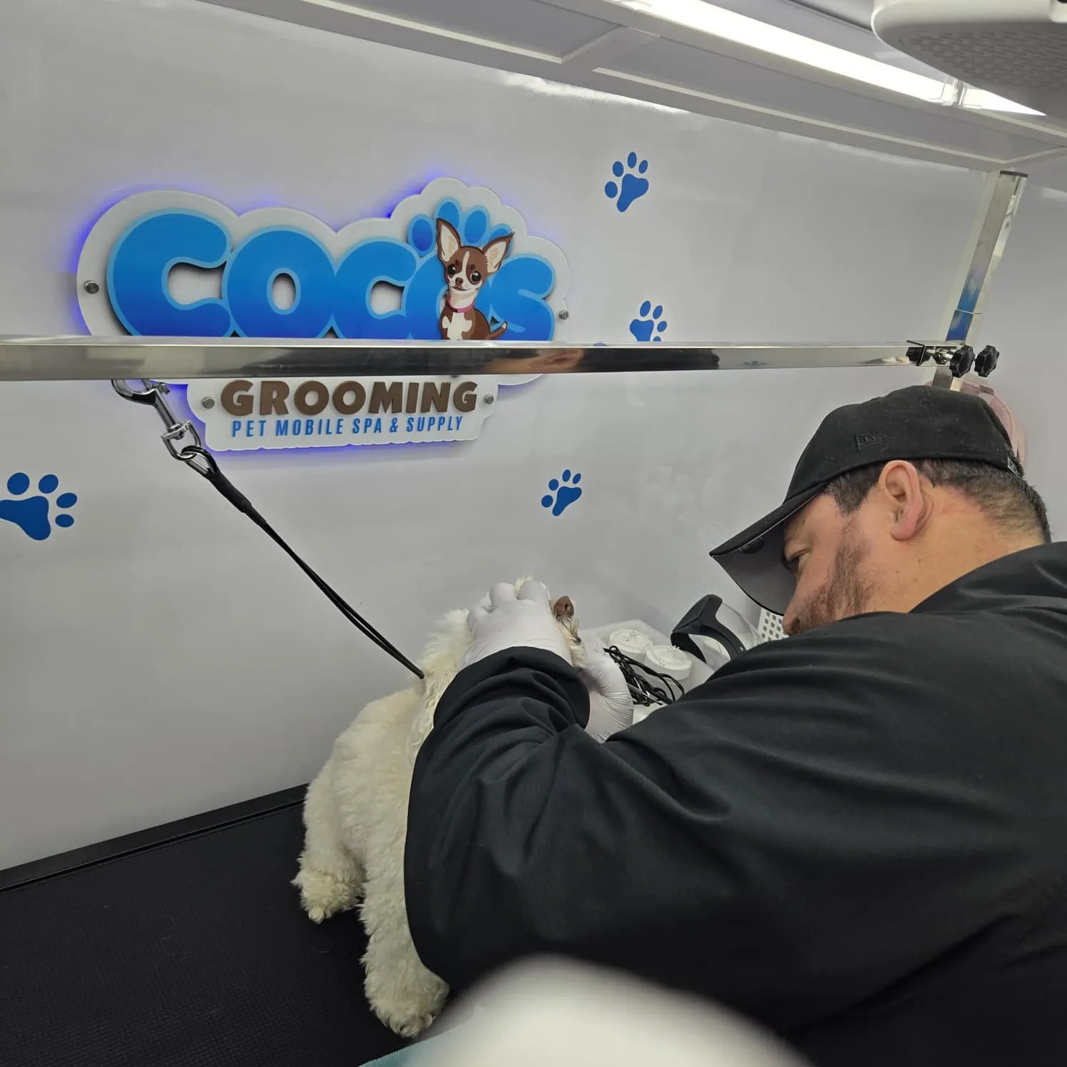 Man grooming a fluffy white dog inside a mobile pet spa with a 'Cocis Grooming' sign behind.