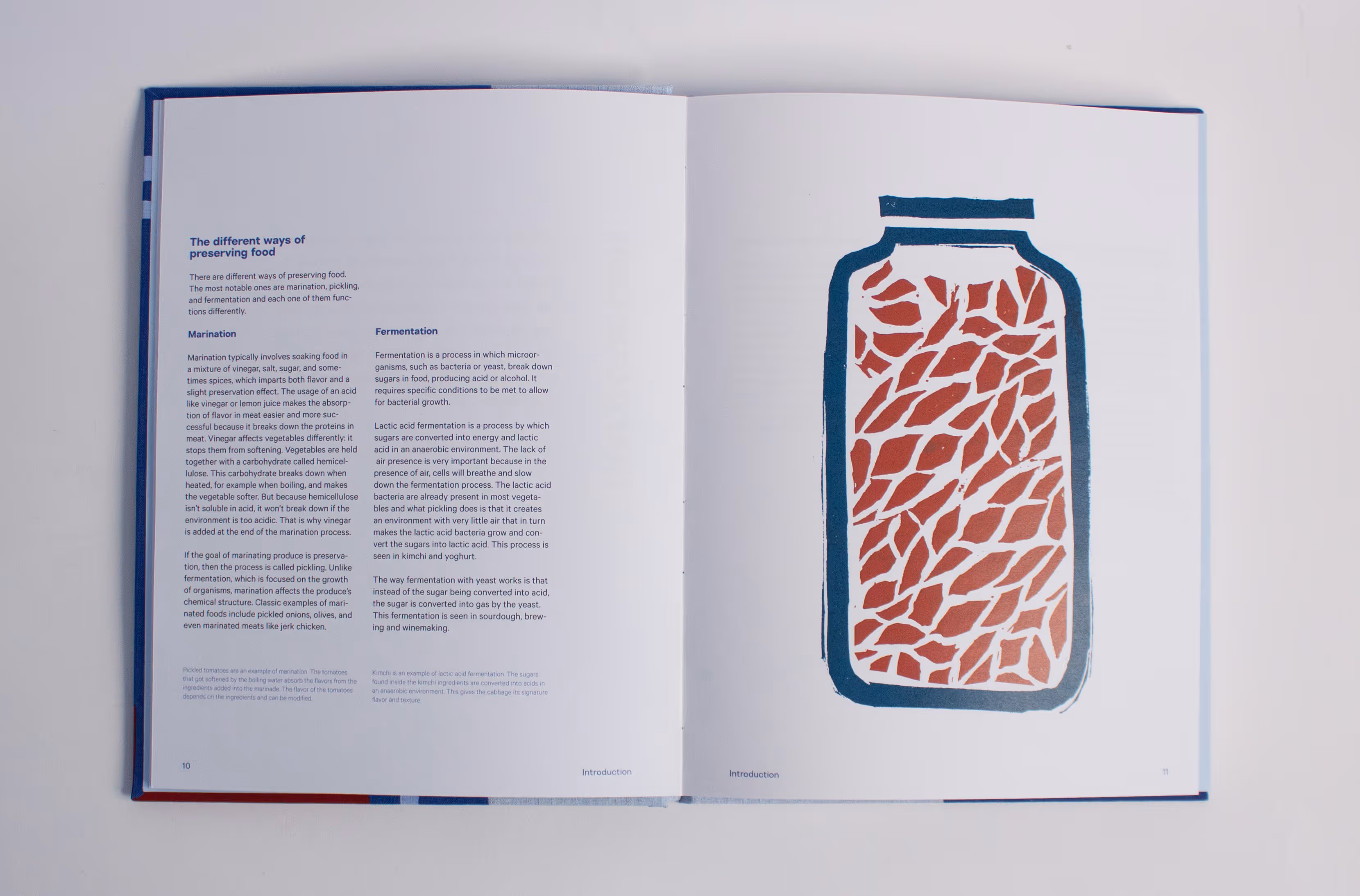 Open book showing text about food preservation and an illustration of a jar with leafy contents.