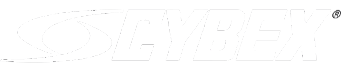 logoipsum