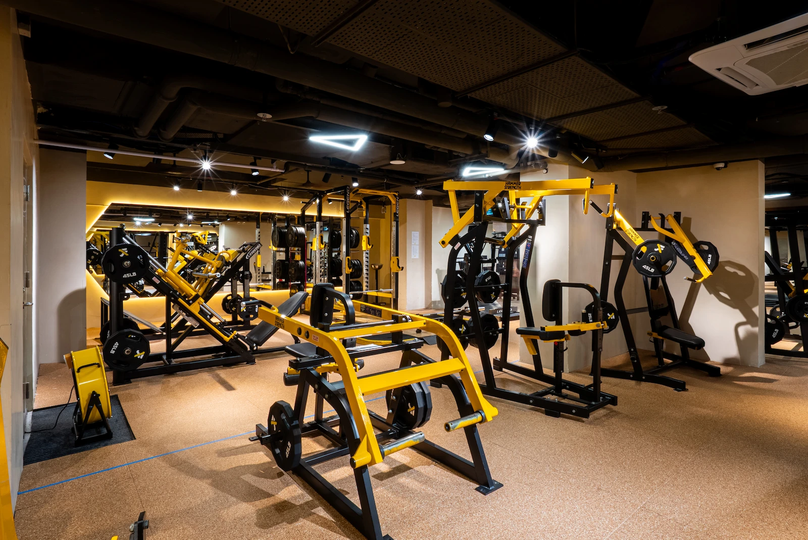 Strength training zone at Flex Fitness Ocean Mall, Macau.