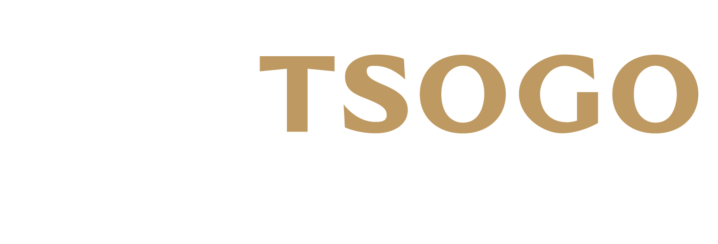 playTSOGO logo text with tagline ONLINE BETTING below in white and gold font on black background.