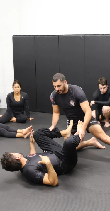 BJJ