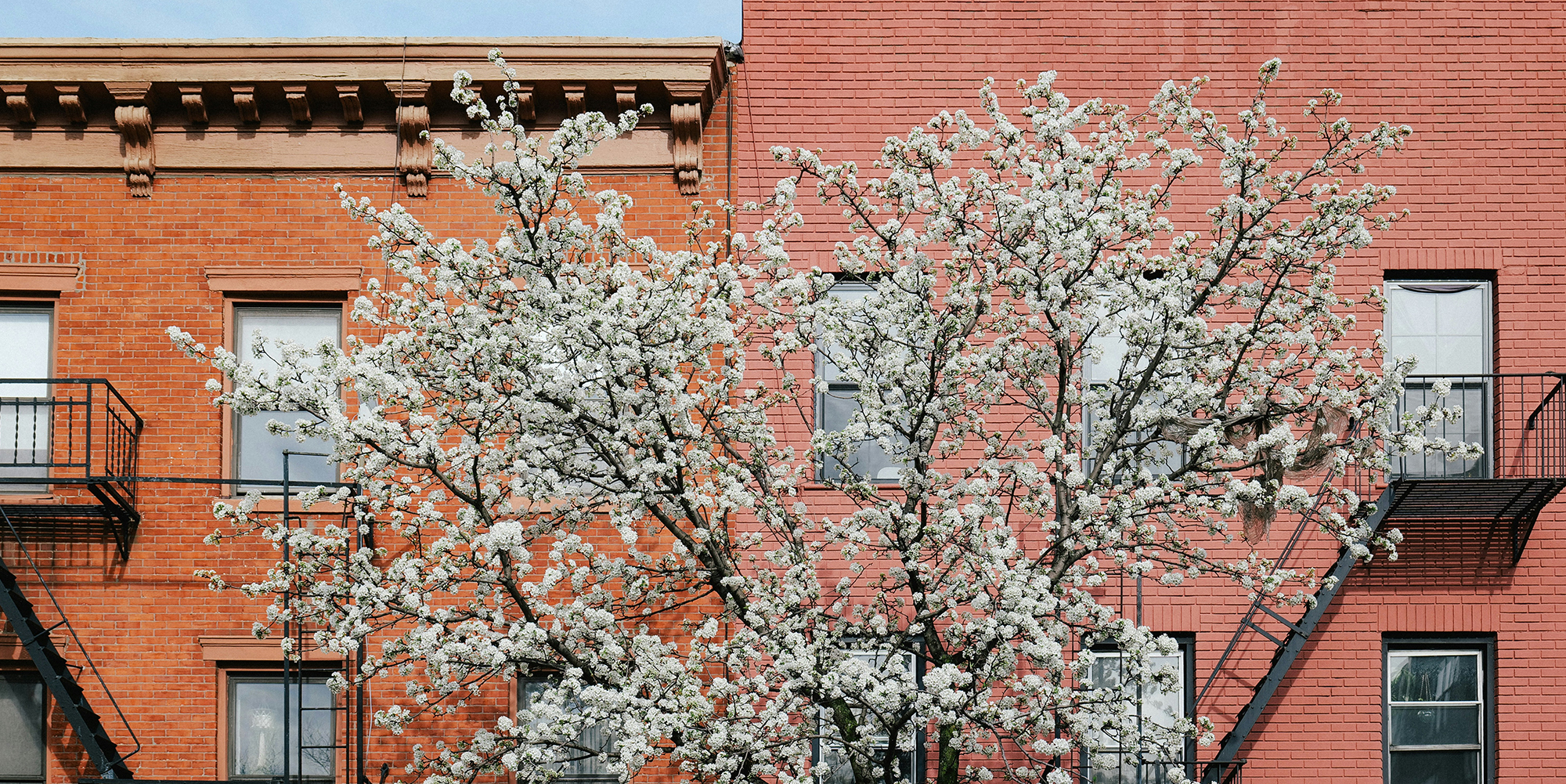 While the neighborhood is evolving, its charm and sense of familiarity has been preserved.